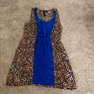 Petticoat alley dress